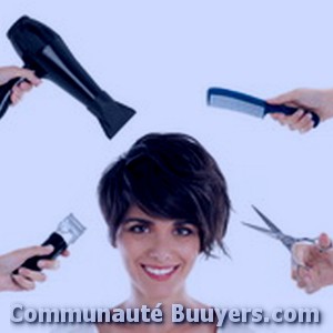 Logo Flavie Coiffure