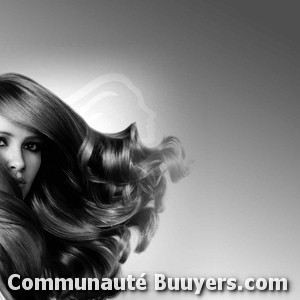 Logo Hair Design Expert Coiffeur visagiste