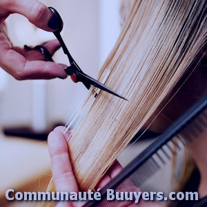 Logo Hair Premium Paris