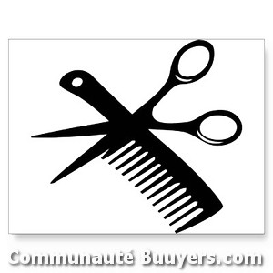 Logo Hair Styl'coiff