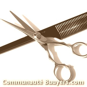 Logo Idyllis Coiffure