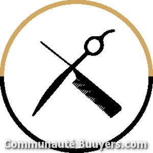 Logo IMAGE IN HAIR