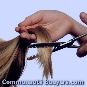 Logo Imagin'Hair Coiffure à domicile