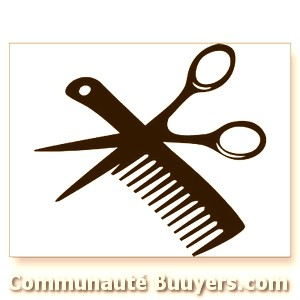 Logo Intermède A.Line Hair  Franchisé indépendant Coiffure à domicile