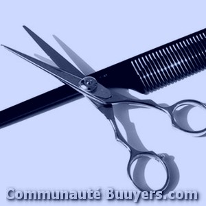 Logo ISA BELLES COIFFURE