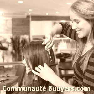 Logo Krealys Coiffure Mixte