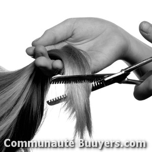 Logo La Boh&ecirc;me Coiffeur