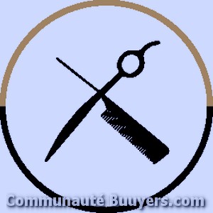 Logo Le Salon de Coiffure Coiffure à domicile