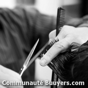 Logo Melusine Coiffure à domicile