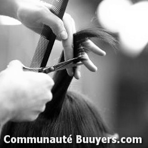 Logo Sainte Algue France