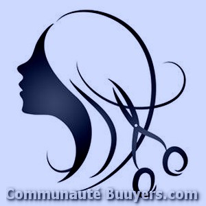 Logo Salon de coiffure l'Emeraude Coiffure à domicile