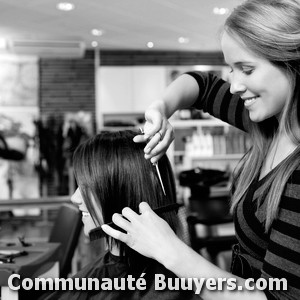 Logo Salon de Coiffure Mario