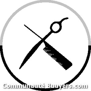 Logo Salon Diminutif Coiffure à domicile