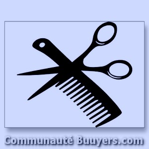 Logo Style F M Hair Coiffure à domicile