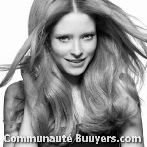 Logo Sylvie Coiffure visagiste