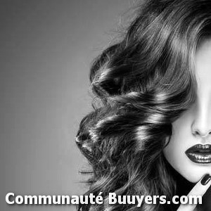 Logo Tendances Coiffure