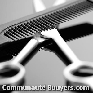 Logo Vanina coiffure