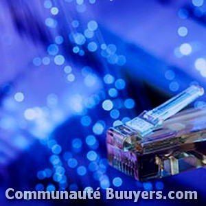 Logo Flamand Veronique