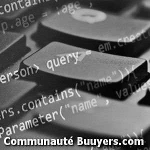 Logo Lesenne Jérôme