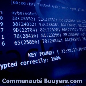 Logo Lr2i (le R&eacute;flexe Informatique & Internet)