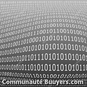 Logo R.b.i. (roannaise Bureautique Informatique)