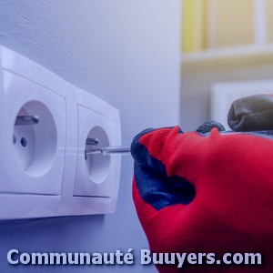 Logo Electricit&eacute; Angles