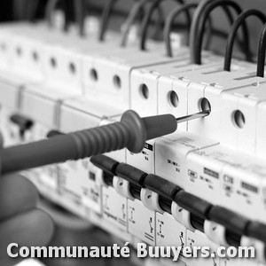 Logo Electricit&eacute; Bannes