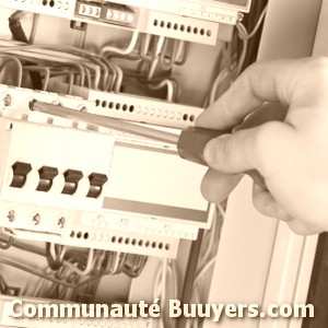 Logo Electricité Bize