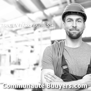 Logo Electricit&eacute; Boissi&egrave;res