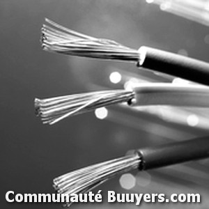 Logo Electricité Cully