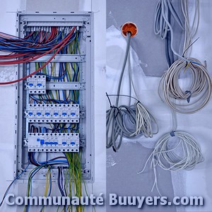 Logo Electricit&eacute; Doux