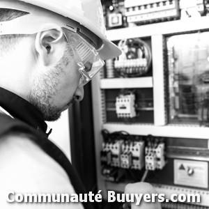 Logo Electricit&eacute; Ferri&egrave;res