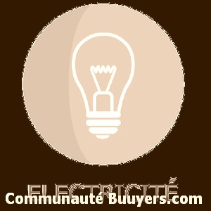 Logo Electricit&eacute; Fouger&eacute;