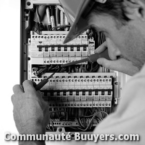 Logo Electricit&eacute; Fr&ocirc;lois