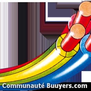 Logo Electricit&eacute; La Trinit&eacute;