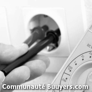 Logo Electricit&eacute; La Trinit&eacute;