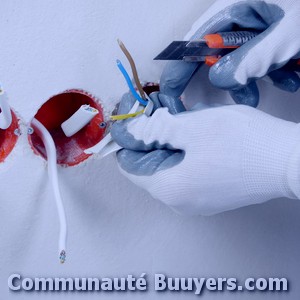 Logo Electricit&eacute; Meslay