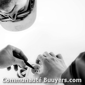 Logo Electricit&eacute; Saint-Antoine