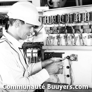 Logo Electricité Saint-Barthélemy