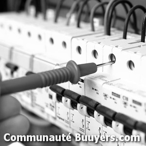 Logo Electricit&eacute; Saint-L&eacute;on