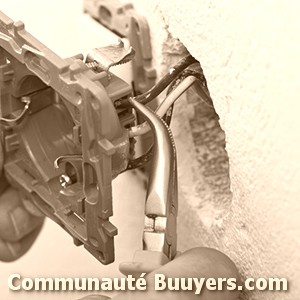 Logo Electricit&eacute; Saint-Louis