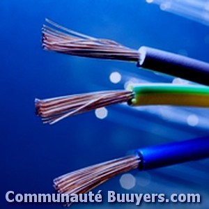 Logo Electricit&eacute; Saint-Michel