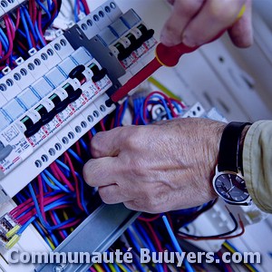 Logo Electricit&eacute; Saint-Palais