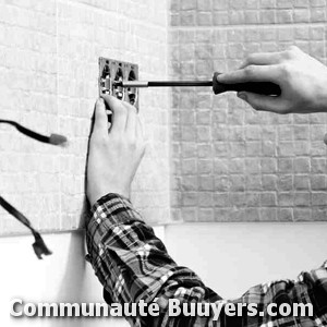 Logo Electricit&eacute; Saint-Paul