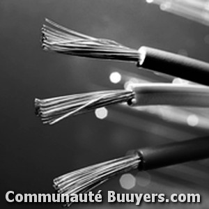 Logo Electricit&eacute; Sainte-Marie