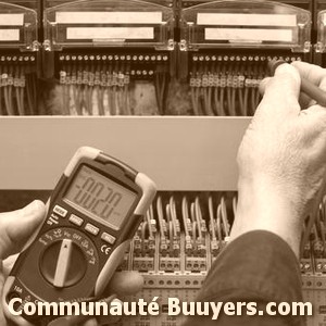 Logo Electricit&eacute; Venon