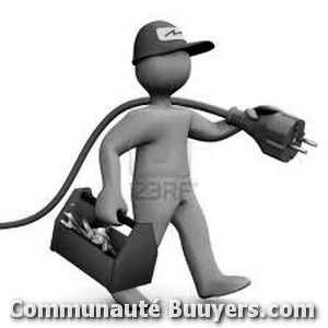 Logo Flux Electric Morlaisien