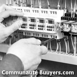 Logo Netthisse Caraibes