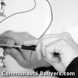 Logo Respaut Frères Entreprise Electricité