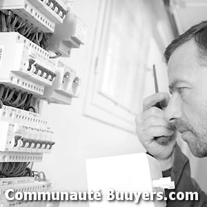 Logo REUNELEC SERVICES